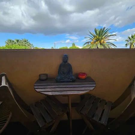 Kokua Developpement Presente Studio Cosy Les Palmiers Avec Piscine Appartement