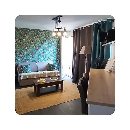 Kokua Developpement Presente Studio Cosy Les Palmiers Avec Piscine